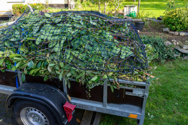 Best Shed Removal  in Mvern, AL